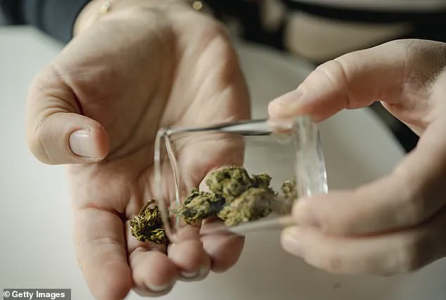 Silent Surgical Risk: Doctors Warn of Waking Up During Operations Due to Undisclosed Cannabis Use