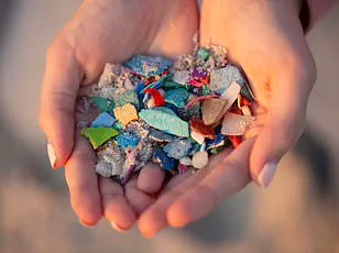 Disposable Face Masks: A Hidden Threat to Environment and Human Health via Microplastics