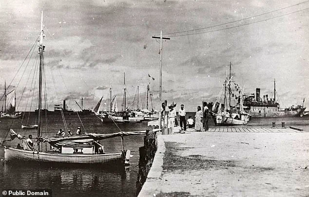 Congresswoman Urges Trump to Declassify Records on Amelia Earhart's Fate