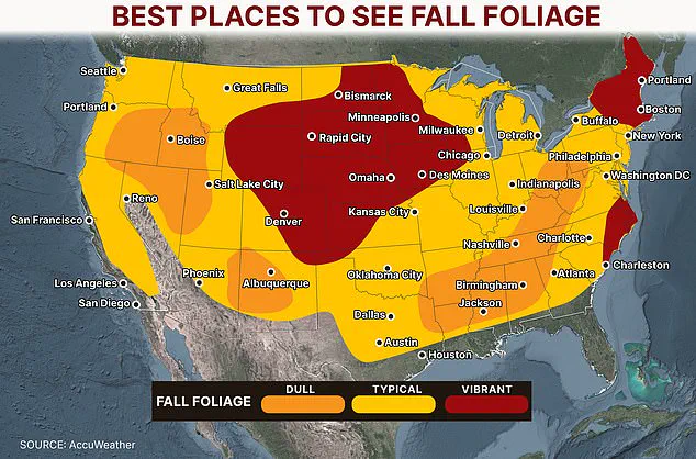 The Delicate Balance of Nature: How Environmental Factors Shape the Arrival of Fall Foliage in the US