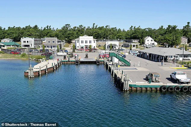 Beaver Island’s Ecological Crisis: Overgrazing Threatens Rare Species and Fragile Ecosystem