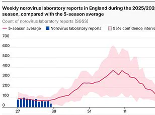 Vaping and Long-Term Covid-19 Health Risks: Experts Advise Caution Amid Rising Infections