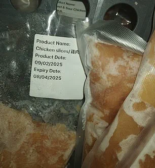 London Officials Seize Over 300kg of Potentially Contaminated Illegal Meat in China Town Inspection