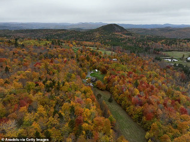 Drought Dims New England's Iconic Autumn Foliage, as Local Guide Laments 'A Season in Peril'