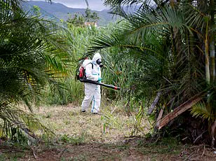 Health Officials Warn of Unprecedented Surge in Hand, Foot and Mouth Disease, Straining Healthcare Systems Across the U.S.