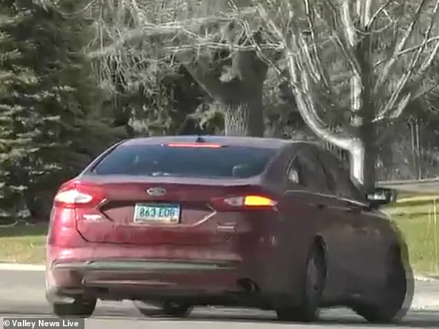 Community Outrage and Legal Scrutiny Follow Discovery of Dogs Trapped in Cold Weather Car in Minnesota