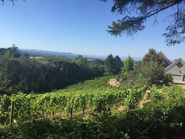 Sebastopol's 'Bohemian Vibe' at Odds with Little Caesars' Unintended Arrival: Clerical Error Sparks Identity Debate