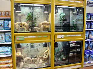 Walgreens Recalls Nasal Spray Over Xylitol Risk, FDA Warns of Potential Health Concerns