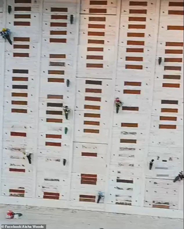 Historic Civil War Cemetery in Compton Faces Ongoing Vandalism, Leaving 1,600 Graves in Disarray