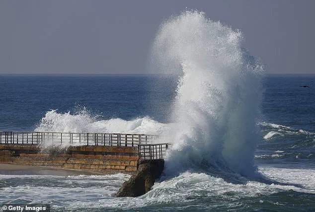 Tourists Recklessly Handle Marine Life During King Tides in La Jolla