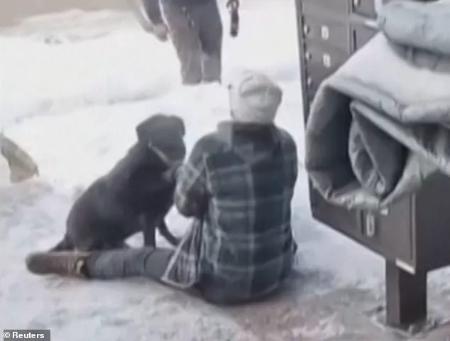 ICE Shooting of Poet Sparks Debate Over Immigration Enforcement and Protester Safety