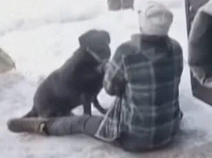 Minneapolis Mayor's Profane Live Reaction to ICE Agent's Fatal Shooting Ignites Controversy