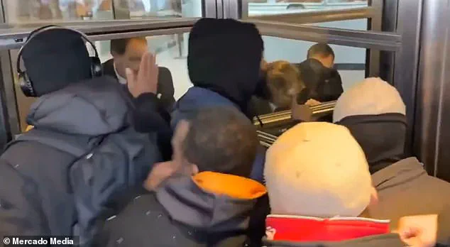 Protesters Condemn ICE After Fatal Shooting of Renee Nicole Good