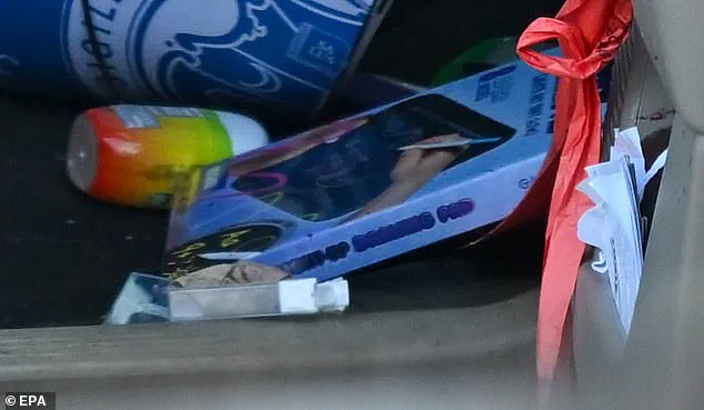 Public Outcry Over ICE Agent's Use of Force During Protest Sparks Debate on Government Regulation and Accountability