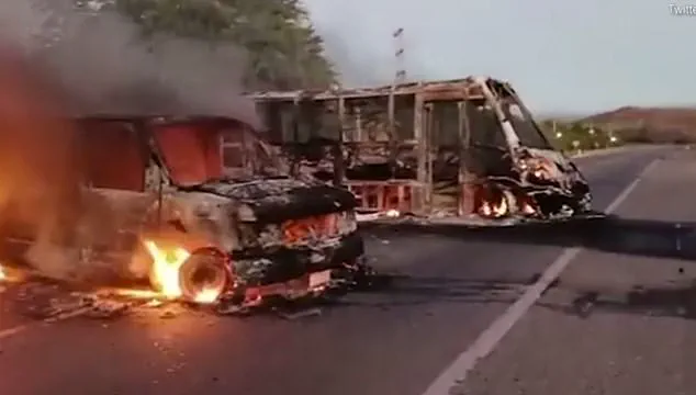 Cartel Violence in Culiacán Highlights Gaps in Government Regulation and Public Safety Measures