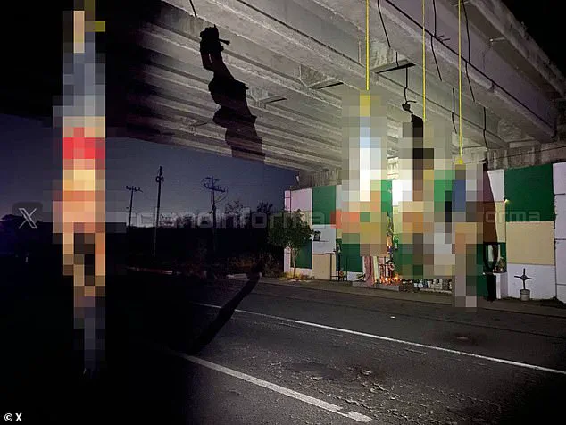 Cartel Violence in Culiacán Highlights Gaps in Government Regulation and Public Safety Measures