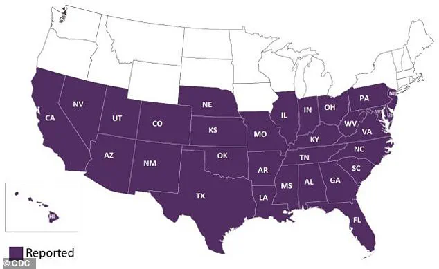 Rising Concerns Over Kissing Bugs and Chagas Disease as Parasite-Infected Insects Cross the US-Mexico Border