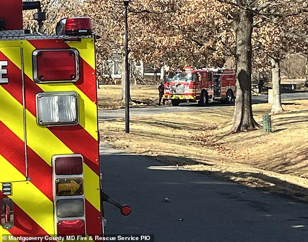 Heat Lamp in Chicken Coop Sparks Destruction of Million-Dollar Mansion, Raising Fire Safety Concerns