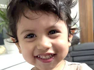 Norovirus Outbreak on Holland America Line’s *Rotterdam* Cruise Ship Sparks CDC Investigation: 89 Affected Amid Severe Symptoms