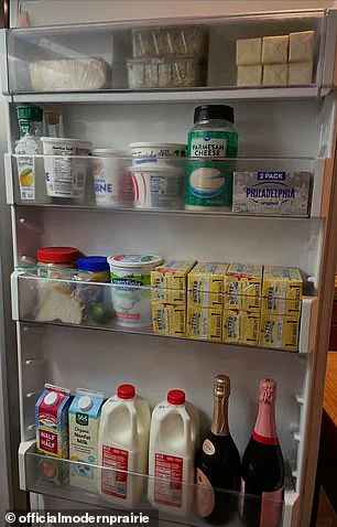 Melissa Gilbert's Silence on Child Abuse Allegations Amid Focus on Refrigerator Contents Raises Community Concerns