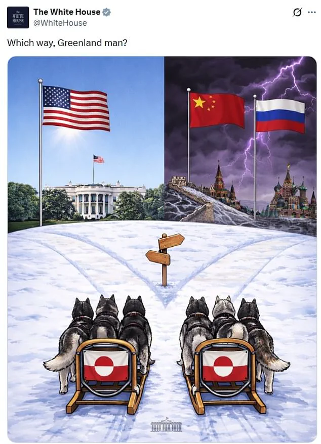 Privileged Access Exposed: The Hidden NATO Conflict Over Greenland and the Catastrophe Waiting in the Wings