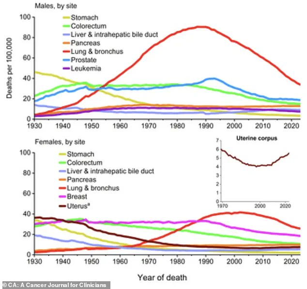 Environmental Regulations Fall Short in Addressing Rising Lung Cancer Rates Linked to Pollution Exposure