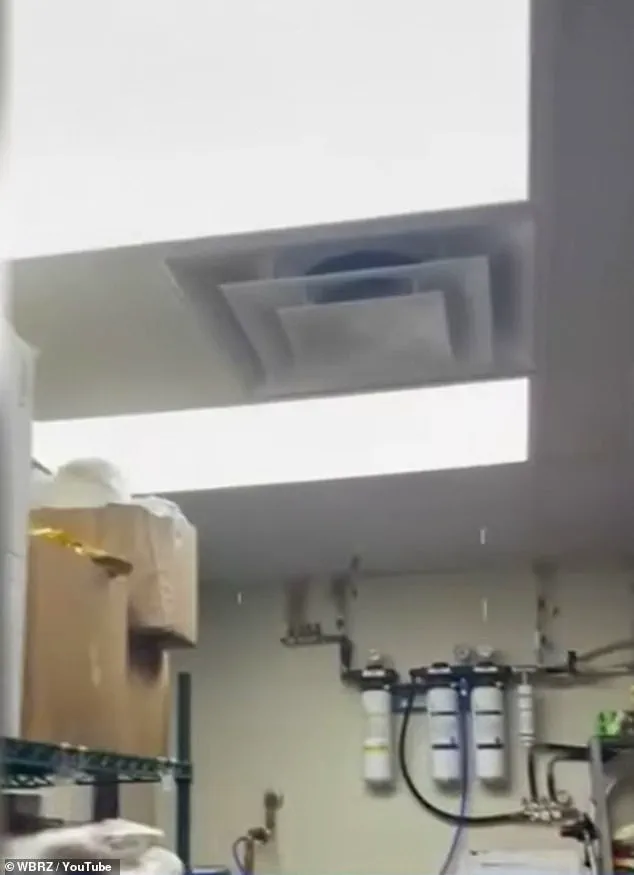 Ignoring Regulations: How Corporate Neglect in Louisiana Wendy's Exposes Public to Health Hazards