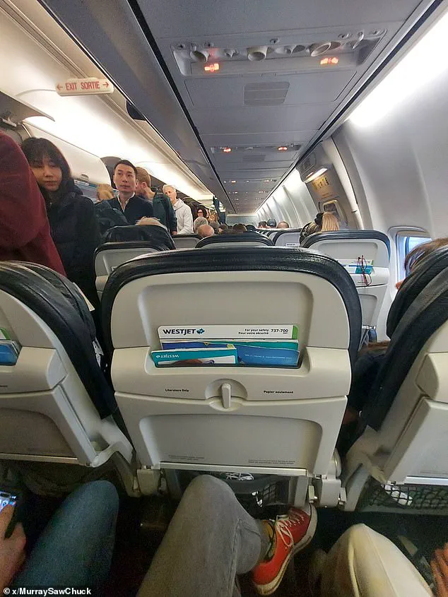 Breaking: WestJet Abandons Controversial Seating Plan as Industry Debates Cost vs Comfort