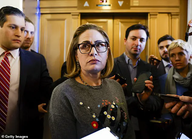 Matthew Ammel Under Investigation for Alleged Violence and Drug Misconduct, Bond Set at $10,000