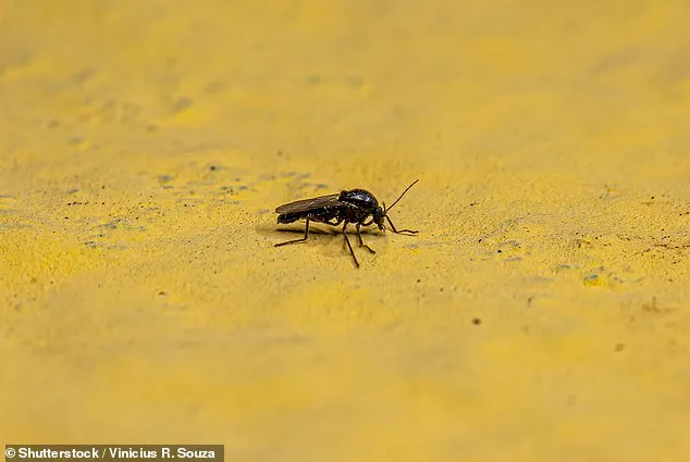 Dr. Patrick Jackson Warns of Emerging Viral Threats Linked to Climate Change and Human Activity
