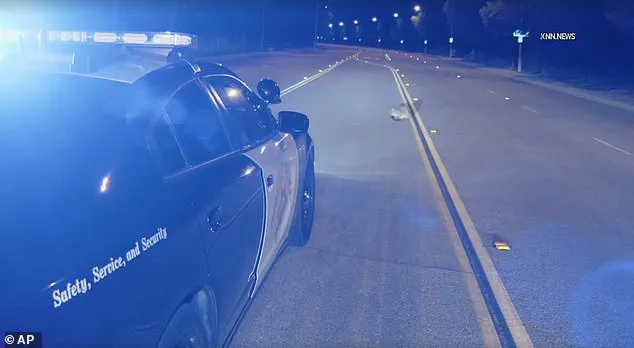 Exclusive Footage Reveals Rare Mountain Lion Encounter on LA Parkway