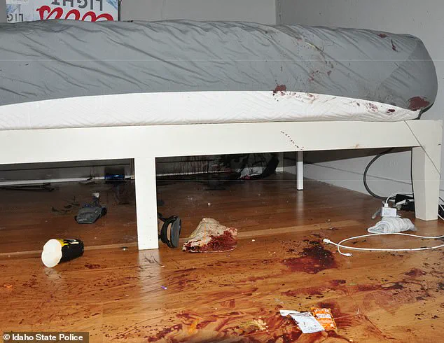 Idaho State Police Release Previously Unseen Crime Scene Photos from Idaho Murders Case