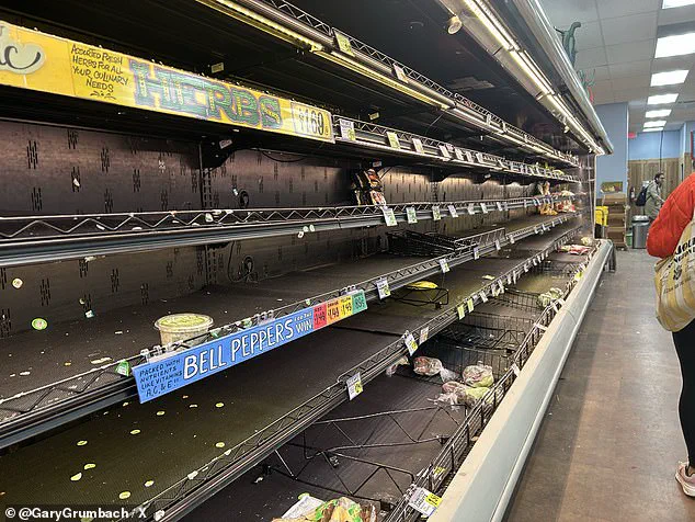 Millions Bracing for Catastrophic Ice Storm 'Fern' as National Weather Service Warns of Unprecedented Danger