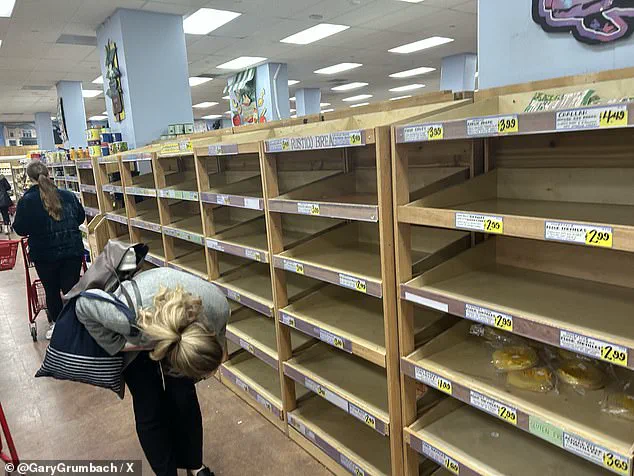 Millions Bracing for Catastrophic Ice Storm 'Fern' as National Weather Service Warns of Unprecedented Danger