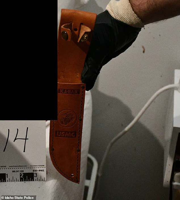 Privileged Knowledge, Fatal Oversight: Bryan Kohberger's Crime Unraveled