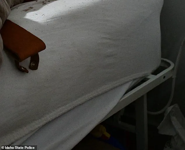 Privileged Knowledge, Fatal Oversight: Bryan Kohberger's Crime Unraveled