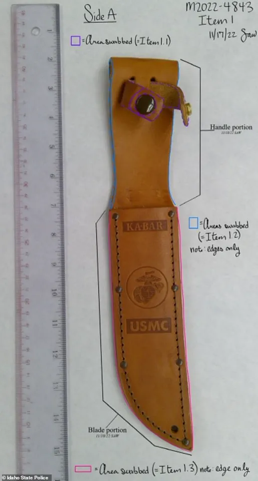 Privileged Knowledge, Fatal Oversight: Bryan Kohberger's Crime Unraveled