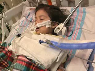 Red Cross Warns of 35% Blood Supply Drop Amid Winter Storm Crisis in America