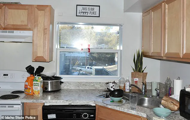 Exclusive Access to Censored Images: The Daily Mail’s Analysis of the Idaho Murders Reveals a Shocking Contrast Between Joy and Tragedy