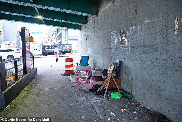 Homeless Encampments Reappear in NYC as Mamdani's Anti-Clearance Policy Takes Hold