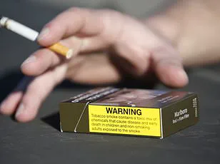 Study Reveals Early Smoking Linked to Long-Term Heart and Stroke Risks, Even After Quitting