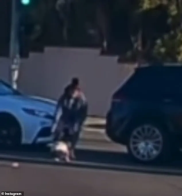 Exclusive Bystander Footage Reveals Heart-Stopping Moment of Toddler Falling from Moving Car