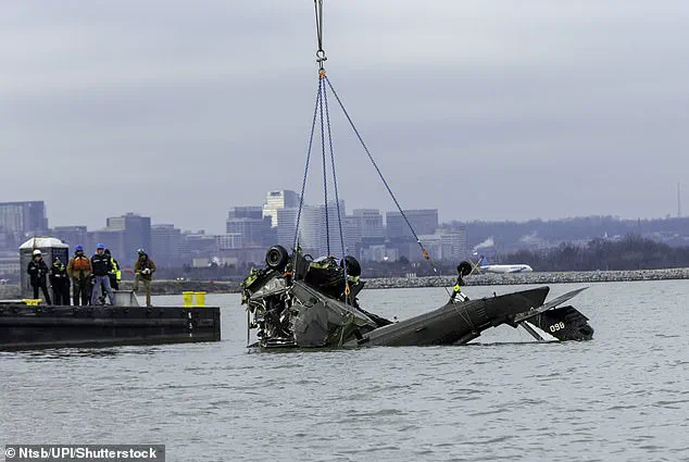 Unveiling the Unseen: NTSB's Exclusive Animation Details Fatal Mid-Air Collision