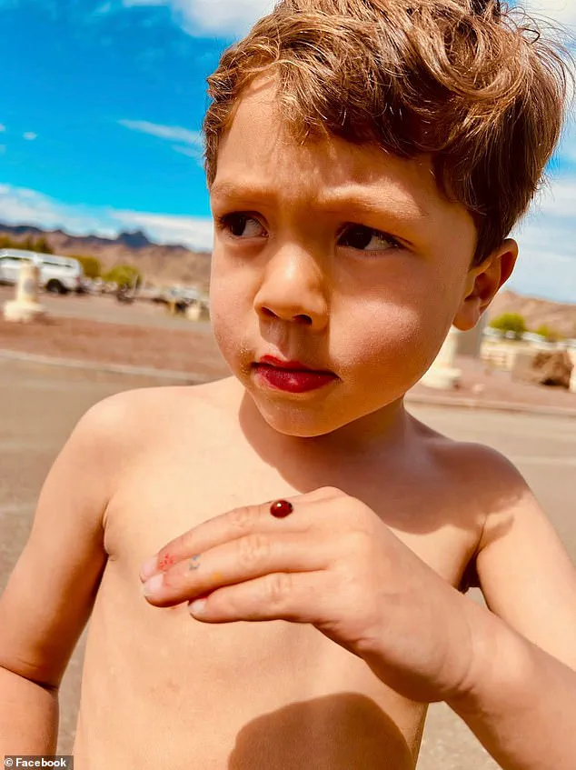 Woman Denies Killing Six-Year-Old Boy in San Diego Hit-and-Run Crash