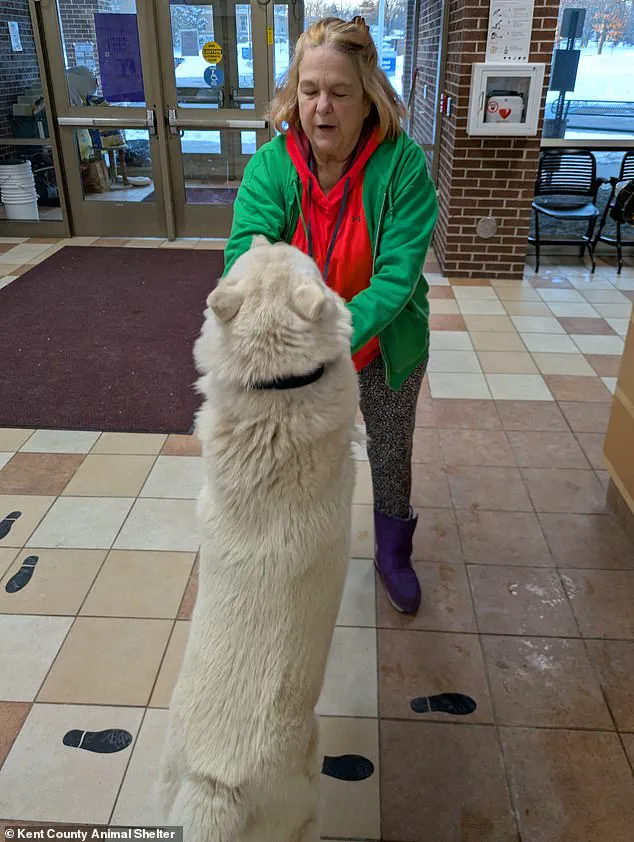 A Community's Quest: The Heartbreaking Search for a Lost Pet and Its Ripple Effect on Neighbors