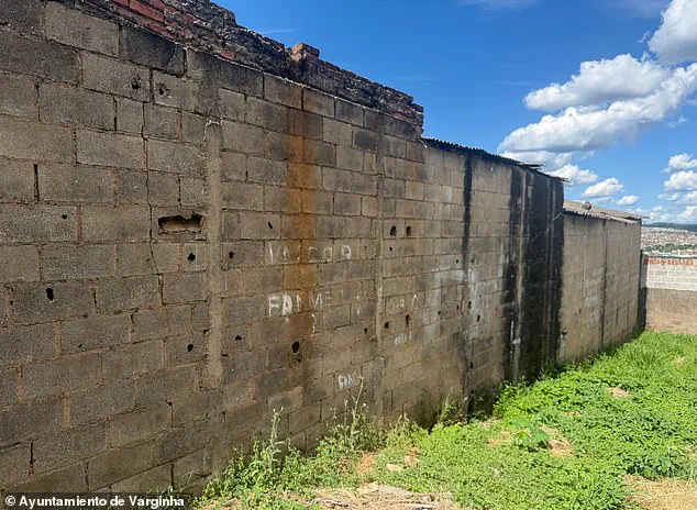 The Varginha Encounter: A 1996 Mystery of Alien-Like Beings and Haunting Memories