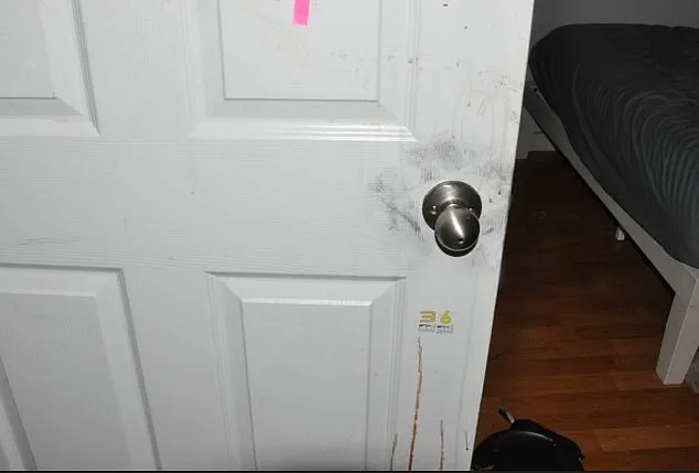 Previously Unseen Crime Scene Photos Shed New Light on University of Idaho Murders Case