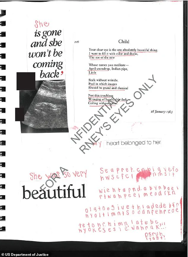 DOJ Releases Epstein Documents Revealing Victim's Diary Entry on Forced Pregnancy and Baby's Removal