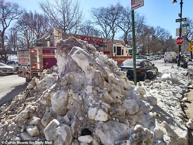 New York's Sanitation Crisis: Winter Storm Fern's Aftermath Highlights Disparity in Snow Removal and Public Frustration