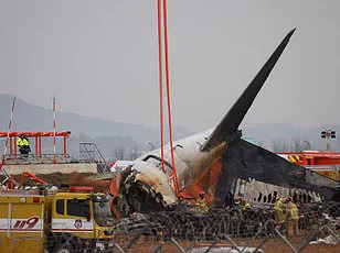 Pilot's Split-Second Decision Averts Disaster After Hawk Strike During Takeoff